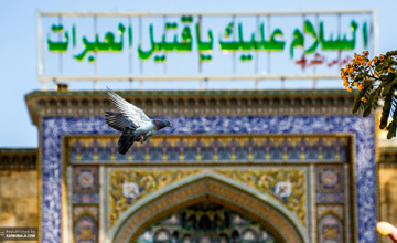 القاب امام حسین (ع)