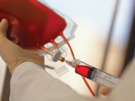 تشویق بانوان به اهدای خون با توجه به نهضت عاشورا/ یادداشت اختصاصی مشاور امور بانوان سازمان انتقال خون