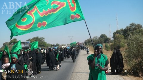 پیاده روی اربعین حسینی در مناطق مختلف کشور نیجریه/ گزارش تصویری