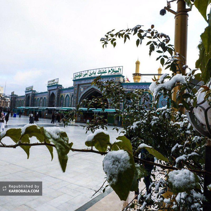 تصاویر دیدنی از بارش برف زمستانی در کربلای معلی