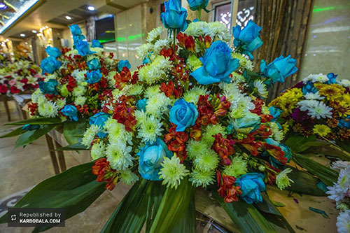 گل آرایی حرم سیدالشهدا (ع) در آستانه سوم شعبان / گزارش تصویری