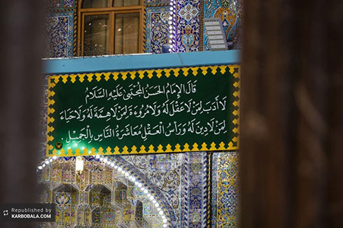 سرور میلاد امام مجتبی (ع) در کربلای معلی / گزارش تصویری