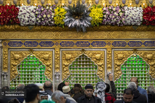 گل‌آرایی آستان حضرت ابالفضل (ع)/ گزارش تصویری