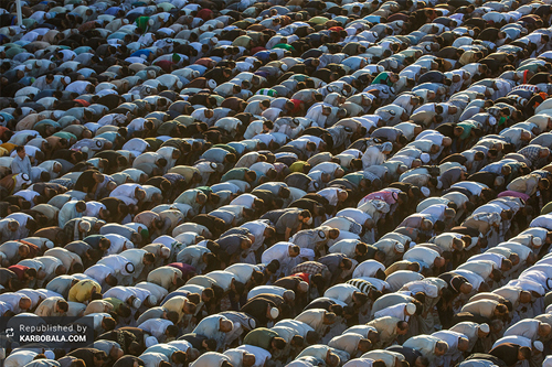 هزاران زائر، عید قربان را در جوار حرم حسینی جشن گرفتند / گزارش تصویری