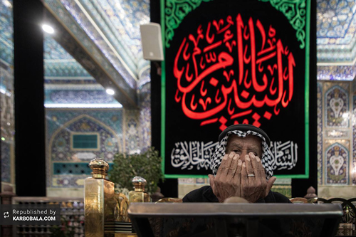 کربلای معلی در آستانه سالروز وفات حضرت ام البنین (س)/ گزارش تصویری