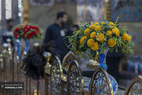 شادی زائران حسینی در سالروز مولود ابن الرضا (ع)