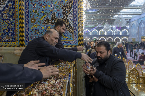 شادی زائران حسینی در سالروز مولود ابن الرضا (ع)