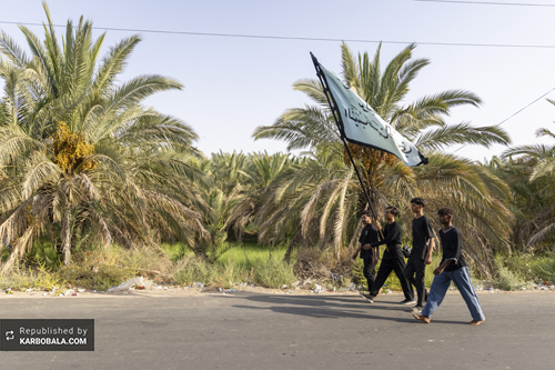 و اینک جمع مستان می‌رسند