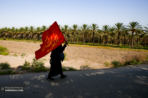 و اینک جمع مستان می‌رسند