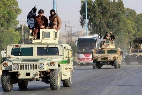 داعش 20 عضو خود را اعدام کرد