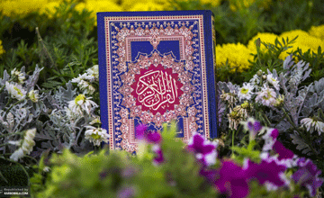 قرآن هم به دور سر زائران تو می‌گردد