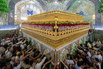 حرم حضرت علی (ع) غرق در سرور و شادی شیعیان / گزارش تصویری
