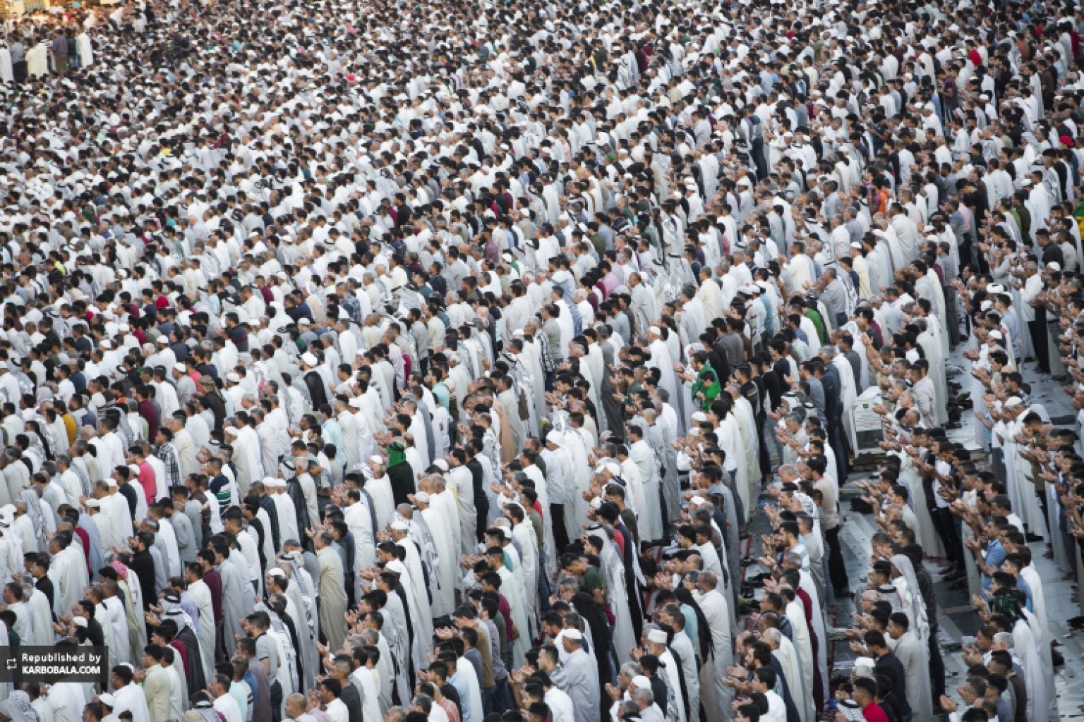 صفوف منظم نماز جماعت عید قربان در کربلای معلی