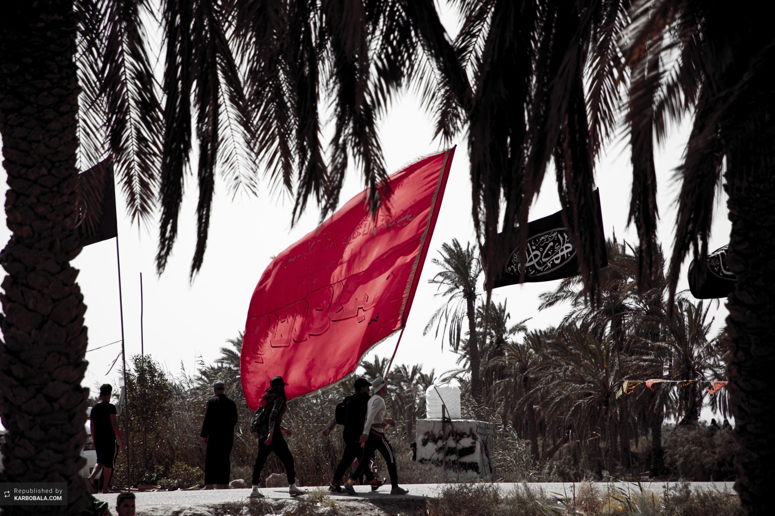 پرچم سرخ یا لثارات الحسین (ع) در پیاده‌روی اربعین