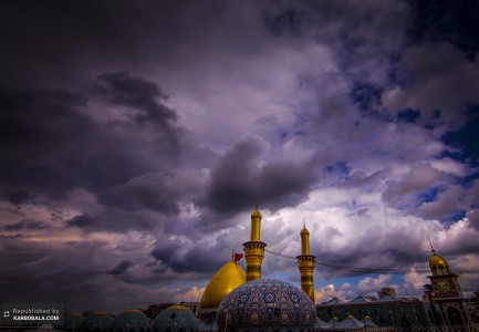 جلوه کن در دلِ شب صورت مهتاب بکش
عاشقان را به سر ِ دار ِ پُر از تاب بکش


محمد رسولی