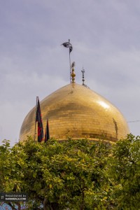 حرم بانوی صبور کربلا