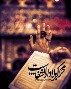 حرم کربلا دارالشفاست...