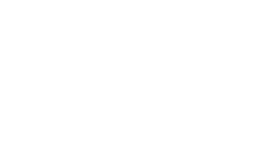 در گلستان حرم